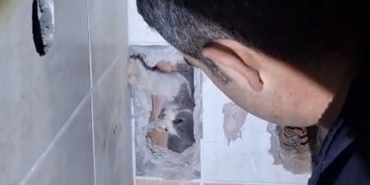 Havalandırma boşluğuna düşen kedi itfaiye tarafından kurtarıldı