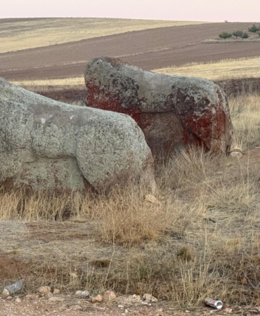 Aslantaşlar Yerinde Kalacak: Taşıma Kararı İptal Edildi