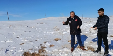 Darende’de Zorlu Kış Şartlarında Yaban Hayvanları İçin Yemleme Çalışması