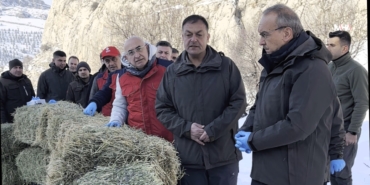 Vali Seddar Yavuz: Kış Şartlarında Zorlanan Yaban Hayvanları İçin Sahadayız