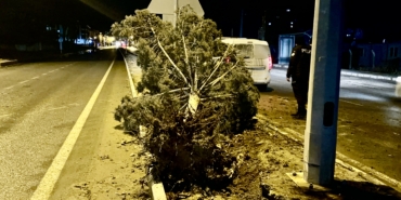 Malatya’da Fırtınalı Gece Hasara Yol Açtı