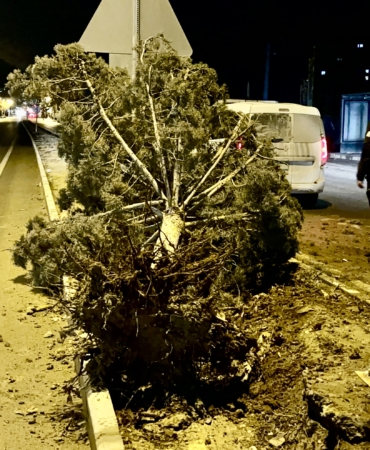 Malatya’da Fırtınalı Gece Hasara Yol Açtı