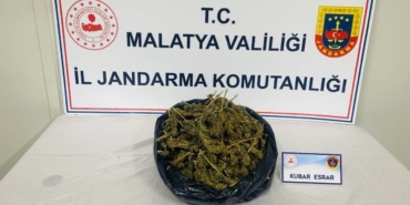 Narkotik Operasyonunda 1 Kişi Gözaltına Alındı