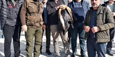 Yeşilyurt’ta Yaralı Kızıl Şahin Duyarlı Vatandaşlarca Kurtarıldı
