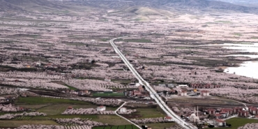 Kayısı Cenneti Malatya Beyaza Büründü: Çiçekler Kartpostallık Görüntüler Oluşturdu