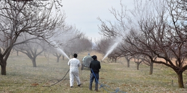 Malatya’da Kayısı Üreticilerine İlkbahar Uyarısı