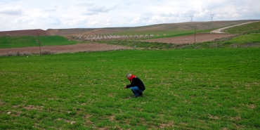 Yazıhan’da Buğday Entegre Mücadele Çalışmaları Kapsamında Arazi Kontrolü ve Eğitim Yapıldı
