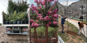 Darende’de 7 Bin 312 Fidan Toprakla Buluşturuldu