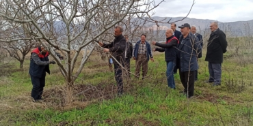Kale İlçesinde Uygulamalı Meyve Ağacı Budama Eğitimi Verildi