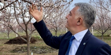Karakurt: “Kayısıyı Korumak Malatya’nın Geleceğini Korumaktır”