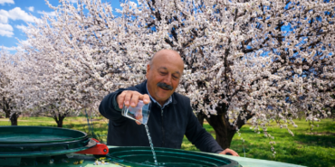 Zirai Dona Karşı Zemzemli Önlem