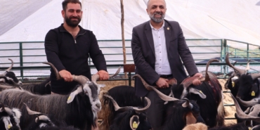 Kurban Pazarında Hareketlilik Başladı