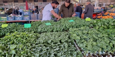 Pazardaki Fiyatlar Artınca Vatandaş Fideliğe Koştu