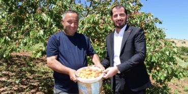 Pütürge’de İlk Kayısı Hasadı Yapıldı
