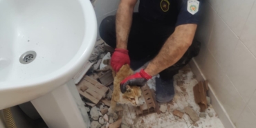 İki Bina Arasına Sıkışan Kedi 2 Saatlik Çalışmayla Kurtarıldı