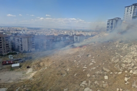 Çöşnük’te Ot Yangını Korkuttu