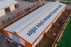 Gurbetçilere Özel “Emanet Hayvan Oteli” Projesi Hayata Geçiyor
