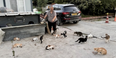 Her Gün Onlarca Sokak Kedisini Kendi Elleriyle Besliyor
