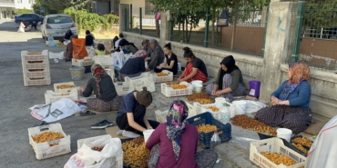 Kayısının Görünmeyen Emeği Ceza Korkusuyla Karşı Karşıya