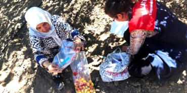 Malatya’da Kayısıda Pestisit Denetimi: 16 Üreticiye Hasat Geciktirme Tedbiri