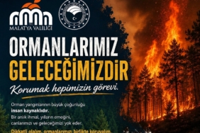Malatya’da Orman Yangını Alarmı: 2026’da 56 Anız, 6 Orman Yangını Çıktı