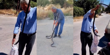 Malatya’nın “Yılan Savar” Muhtarı Bu Kez İki Dev Kara Yılanı Yakaladı