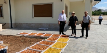 Tarım Müdürlüğünden Kayısı Bahçelerine Saha Çıkarması