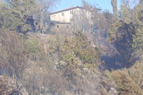Darende'deki yangın kontrol altına alındı: 2 ahır yandı, 3 kişi dumandan etkilendi