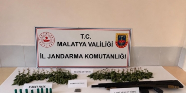 Doğanşehir’de Uyuşturucu Operasyonu: 1 Tutuklama