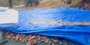 Hekimhan’ı Sel Vurdu: Bir Yıllık Emek Sele Kapıldı!