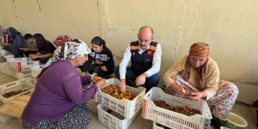 Kaymakam Sungur Kayısı Hasadında Üreticilerle Buluştu