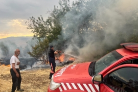Malatya’da Beside Yangın