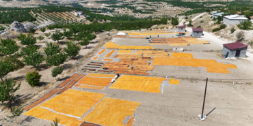 Malatya’da Hasat Bitti, Kurşunlu’da Yeni Başladı