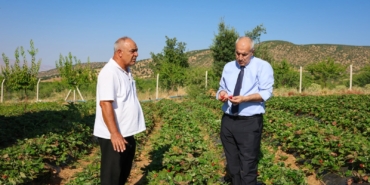 Pütürge’de Çilek ve Salep Üretimine Yakın Takip