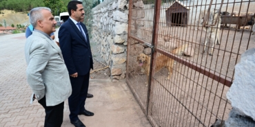 Başkan Taşkın, Hayvan Barınağında İncelemelerde Bulundu
