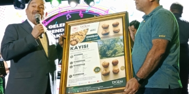 Darende’nin Tescilli Zengibar Cevizi Dünya Standartlarına Meydan Okuyor