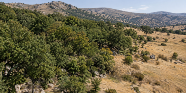 Kuluncak’ta Orman Sınırları Değişti