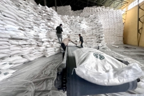 Malatya Şeker’de Yeni Sezon: Günlük 3 Bin 800 Ton İşlenecek