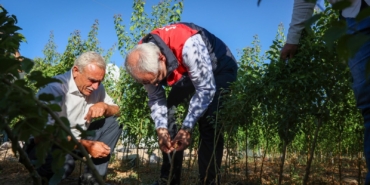 Malatya’da Yılda 850 Bin Sertifikalı Fidan Üretiliyor