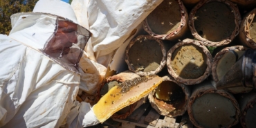 Pütürge’nin Zengin Florasında Bal Hasadı Başladı