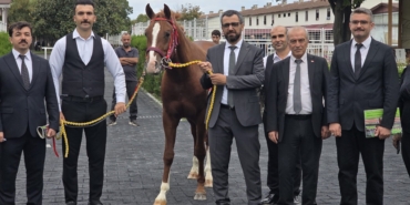 Veliefendi’de Sultansuyu Tayları İçin Milyonlar Yarıştı