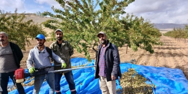 Darende’de Badem Bereketi: Üreticinin Sorunu Pazar