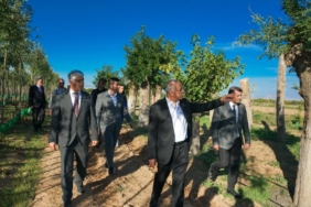 İstanbul’da Ağaç Tartışması, Malatya’da Örnek Uygulama Türkiye Gündeminde