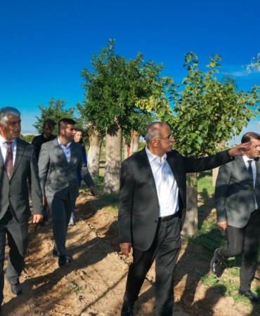 İstanbul’da Ağaç Tartışması, Malatya’da Örnek Uygulama Türkiye Gündeminde