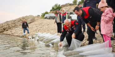 Malatya’da 1 Milyon 300 Bin Sazan Yavrusu Suya Bırakıldı