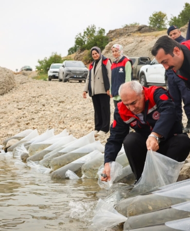 Malatya’da 1 Milyon 300 Bin Sazan Yavrusu Suya Bırakıldı