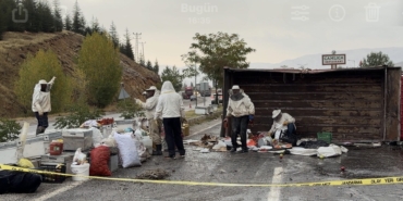 Malatya’da Arı Yüklü Kamyon Devrildi: 3 Yaralı