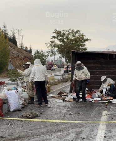 Malatya’da Arı Yüklü Kamyon Devrildi: 3 Yaralı