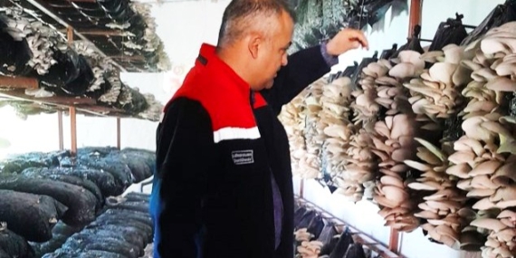 Malatya’da Mantar Üretim Tesisleri Mercek Altında: Hastalık ve Zararlıya Rastlanmadı